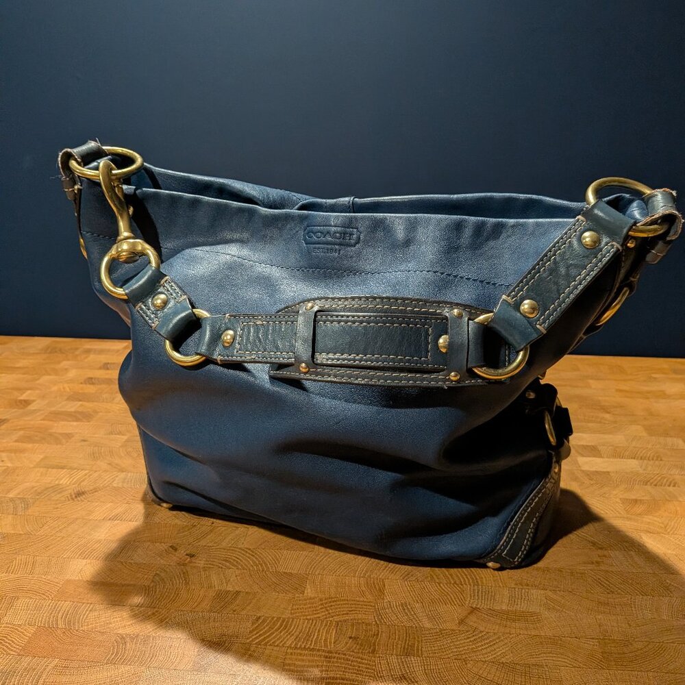 Coach 10616 | Large Carly Hobo Bag